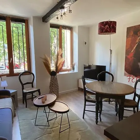 T2 Douillet Renove Hyper Centre Appartement *